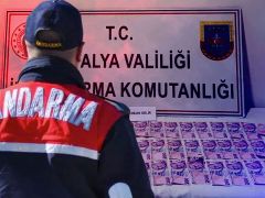 Manavgat’ta Jandarmadan Kumar Operasyonu