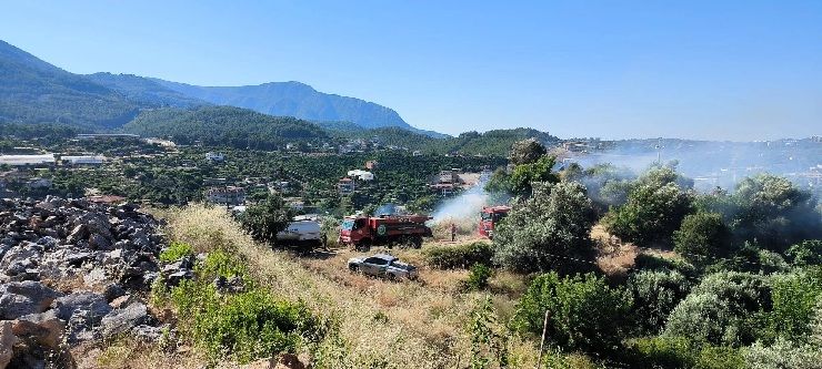 Alanya’da Yangında yaklaşık 1 dönüm alan zarar gördü.