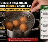 Yumurta Haşlarken Bu Küçük Detayı Deneyin! Kürdanın Faydası Şaşırtıyor