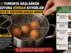 Yumurta Haşlarken Bu Küçük Detayı Deneyin! Kürdanın Faydası Şaşırtıyor